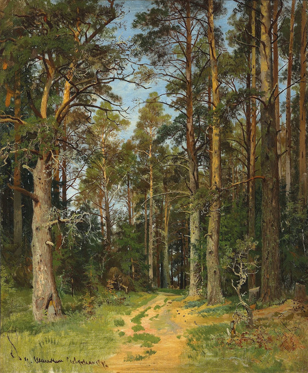 Siverskaya 1896
