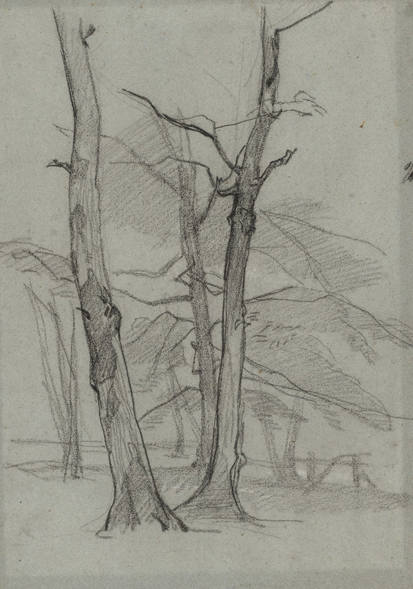 Landscape Study with Trees c 18701875