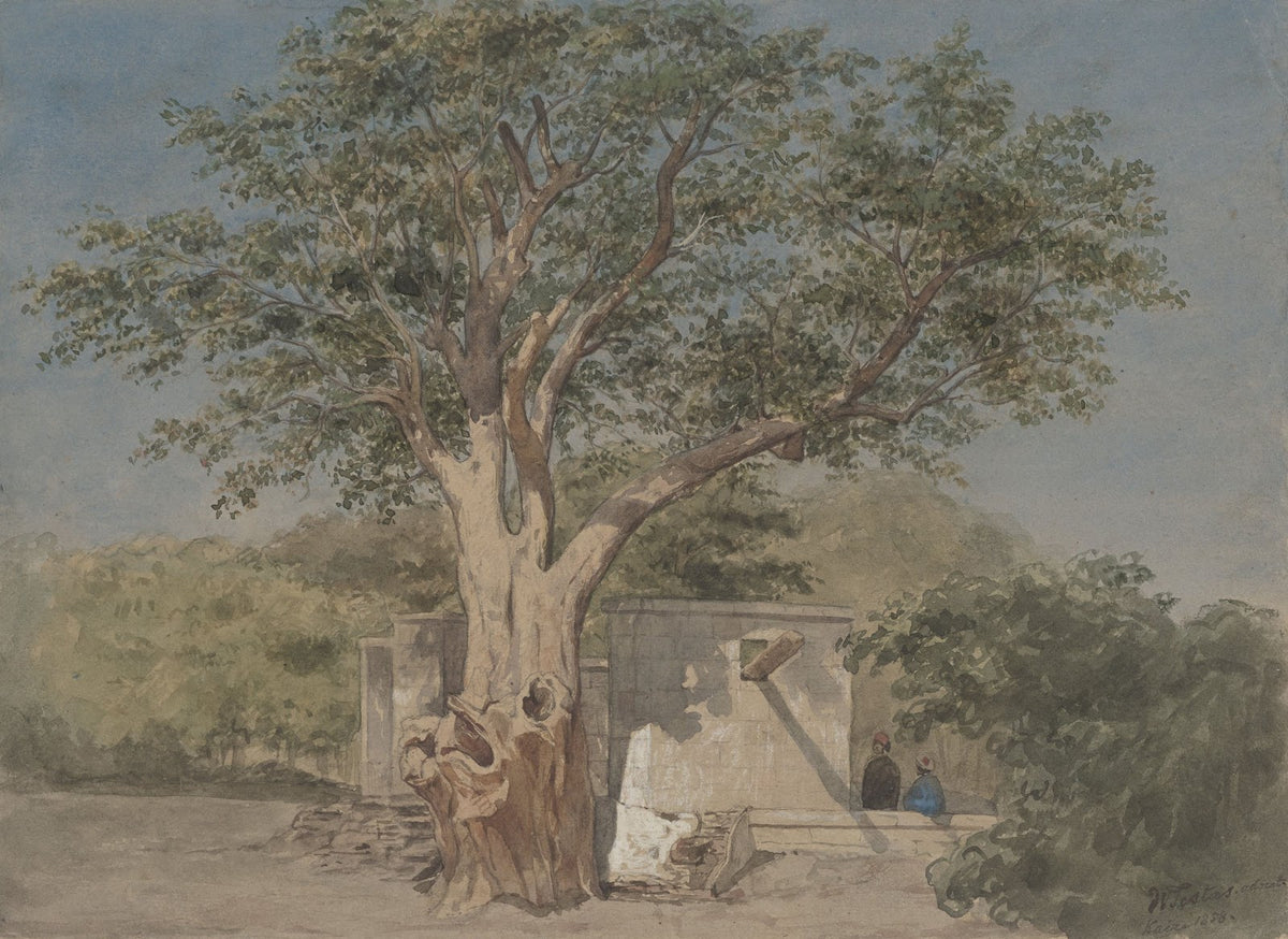 Hutje onder boom te Kaïro 1858