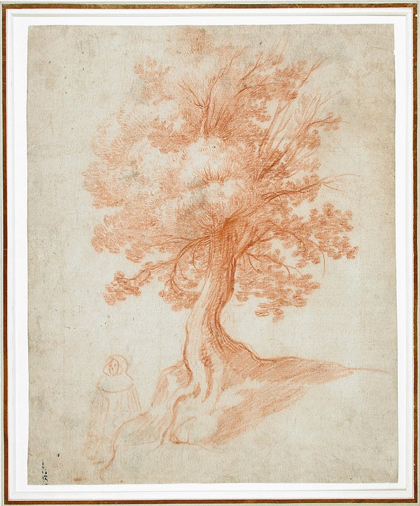 Study of a Tree circa 1610 1620
