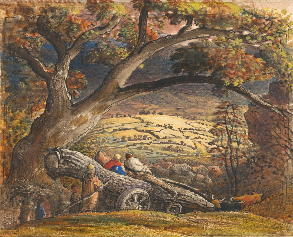 The Timber Wain between 1833 and 1834
