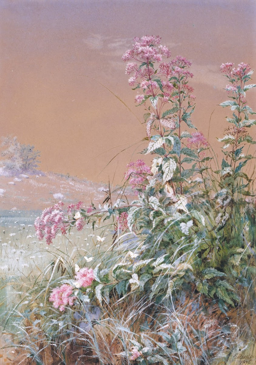 Untitled 1876