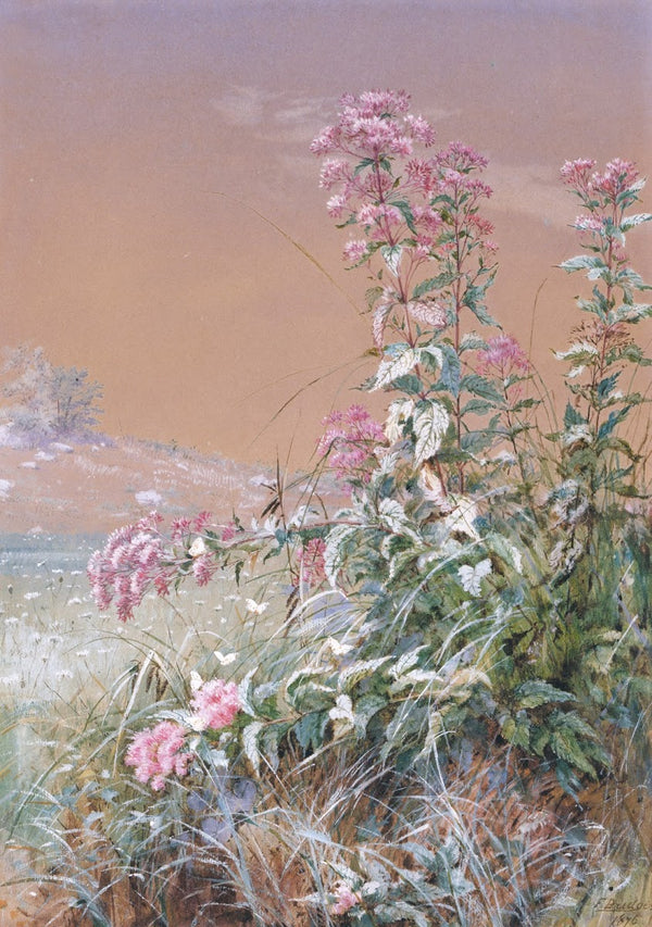Untitled 1876