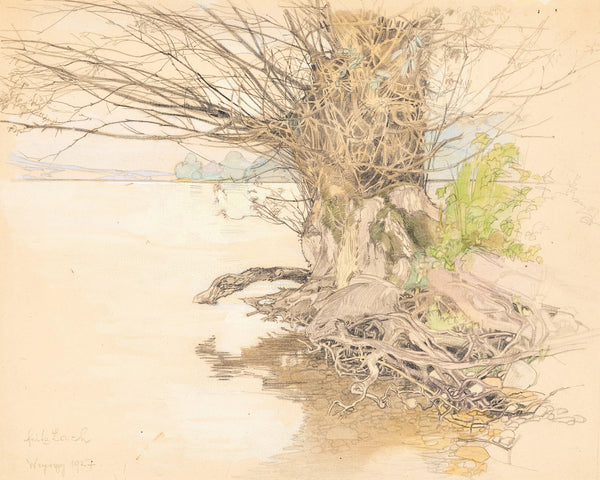 A willow tree at the lake shore 1927
