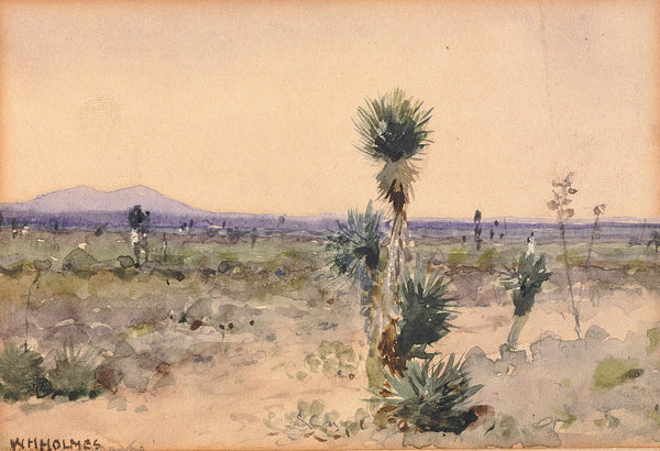 YuccalandChihuahua Mexico