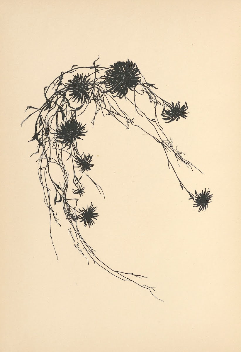 Vertrauen Pl33 1933