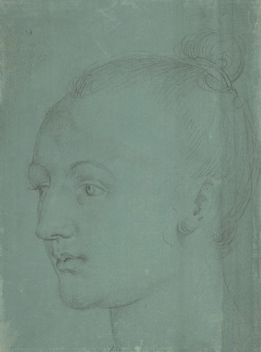Head of a Young Woman 1522
