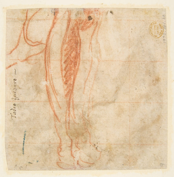 Sketch of a Leg 152966