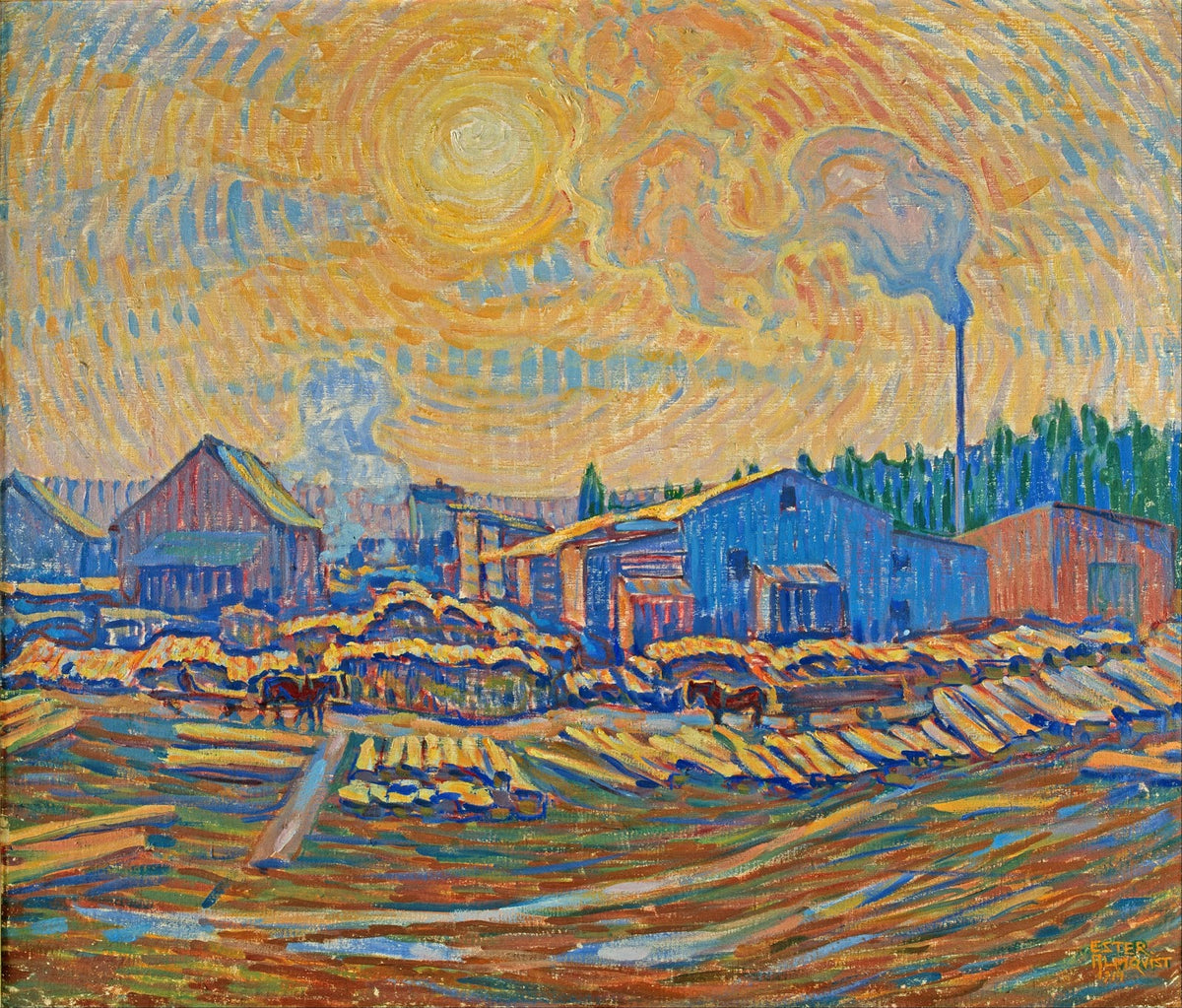 The Sawmill December sun