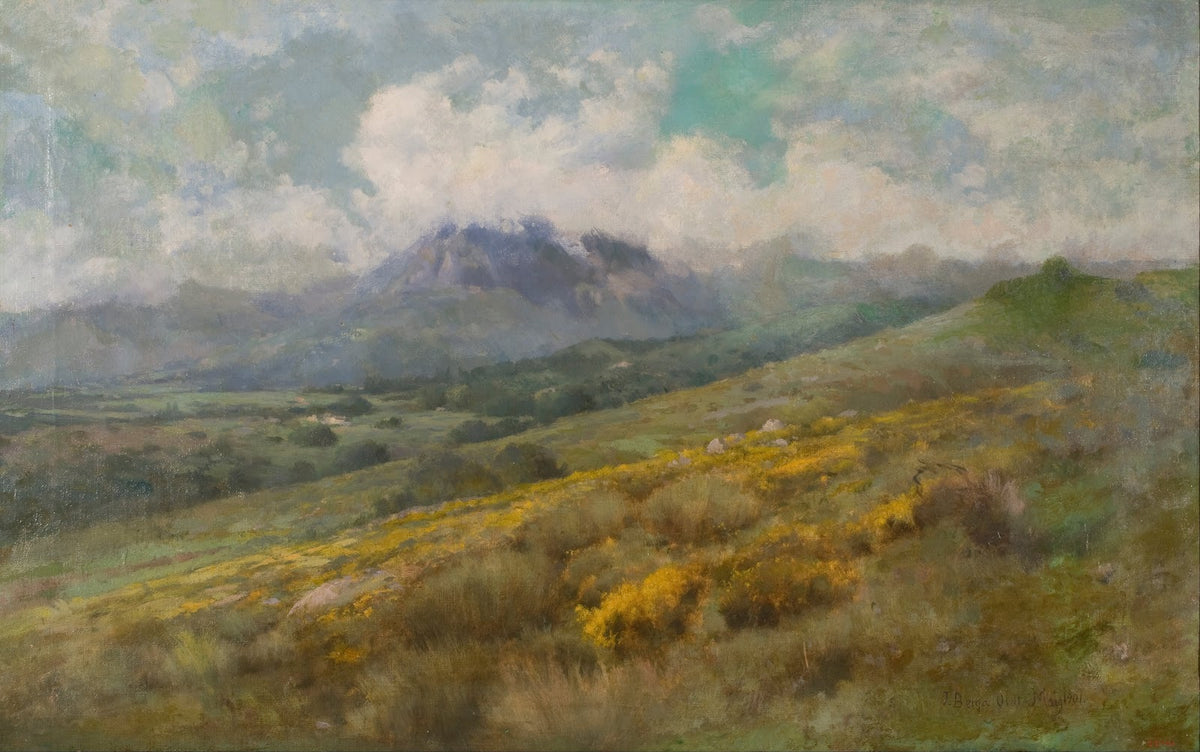 Landscape 1901