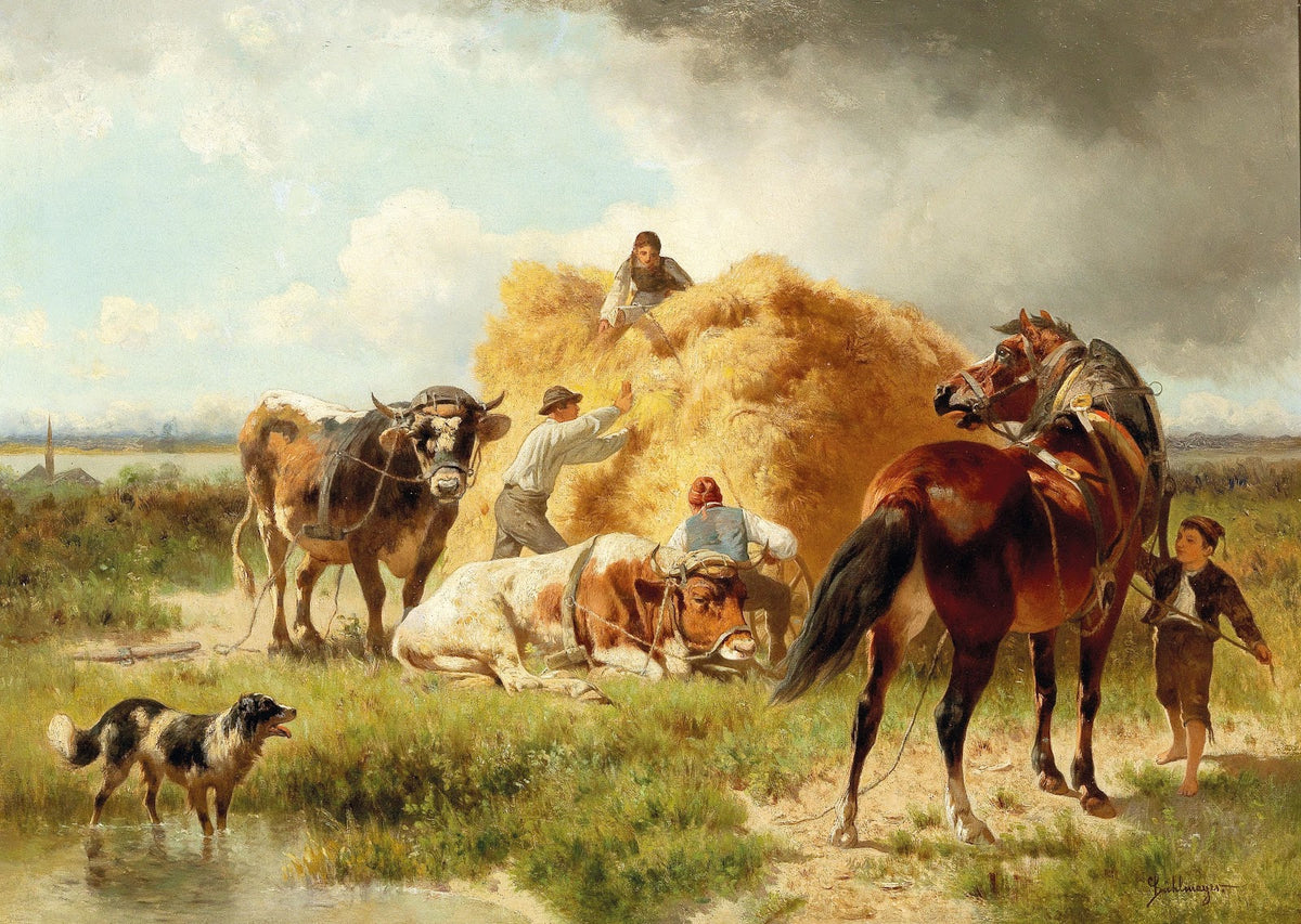 Harvest Scene