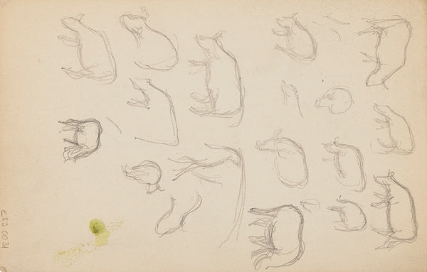 Études danimaux de paysages et de modèles