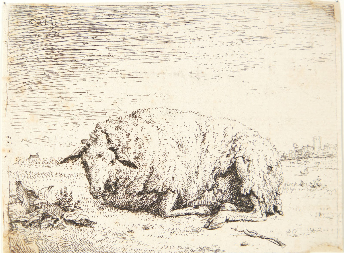 Liggende får 1655
