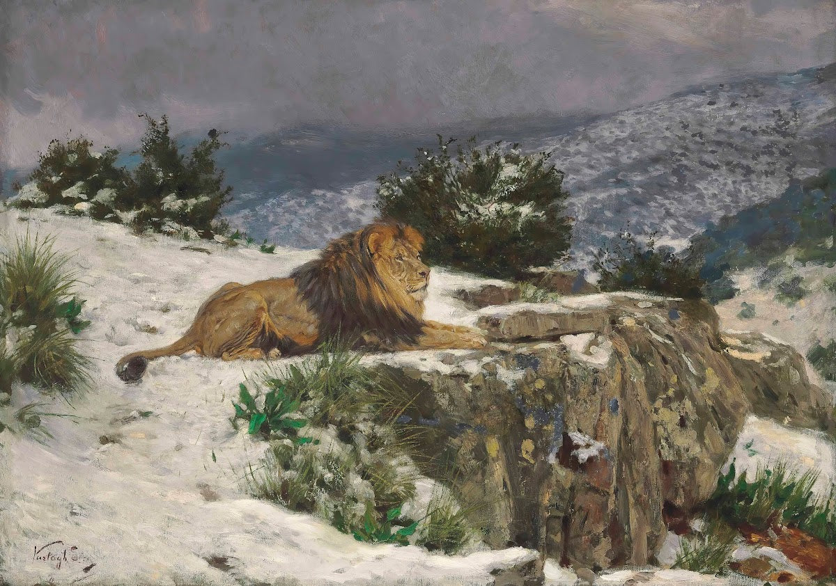 A Lion In The Snow
