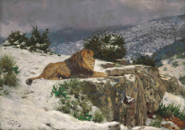 A Lion In The Snow