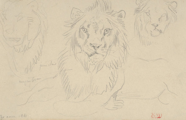 A Lion Full Face 1841