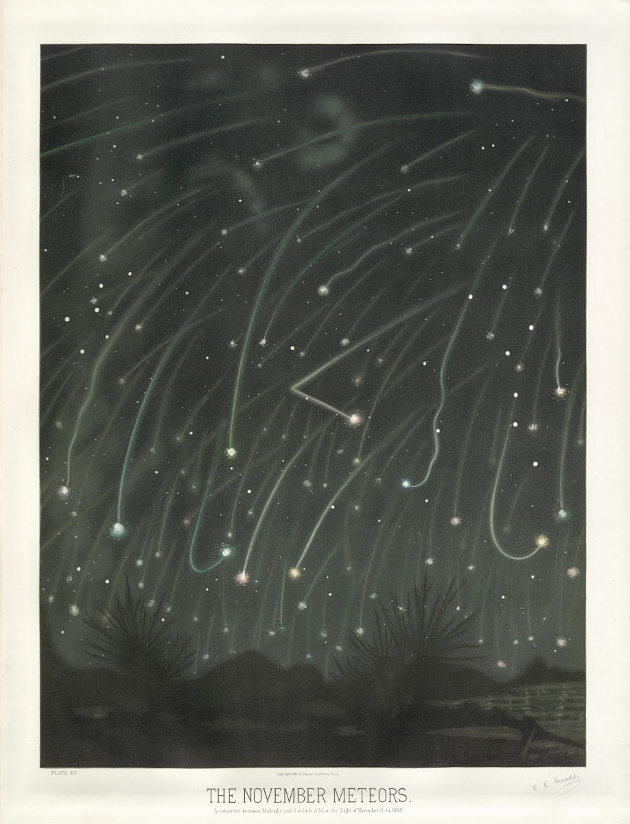 The November meteors 1881 1882