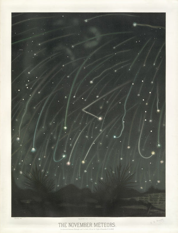 The November meteors 1881 1882