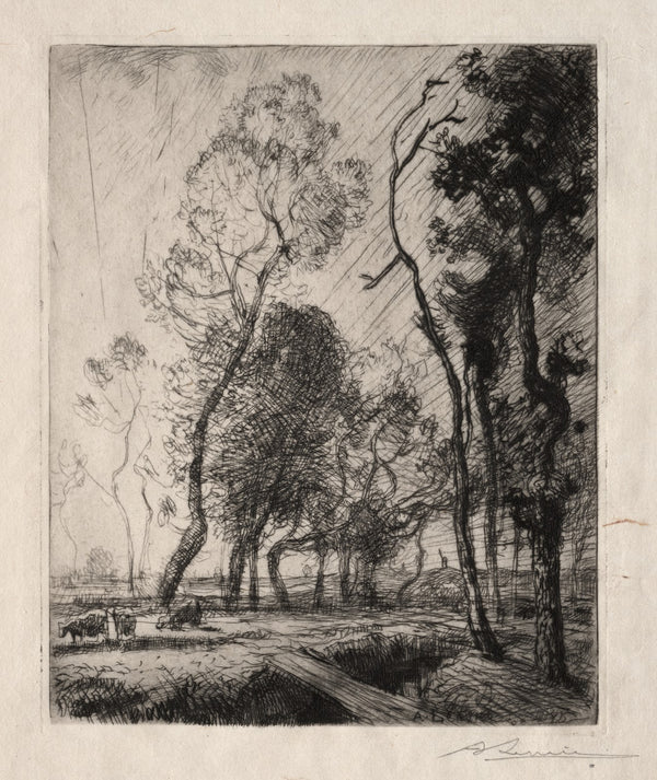 Coucher de Soleil derrière les Arbres 1909