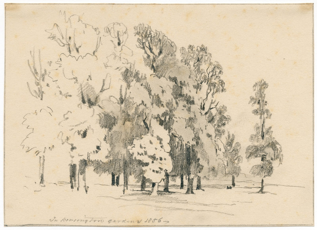 Groepje bomen in Kensington Gardens 1856
