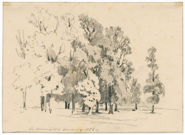 Groepje bomen in Kensington Gardens 1856