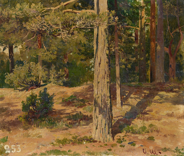Waldinneres