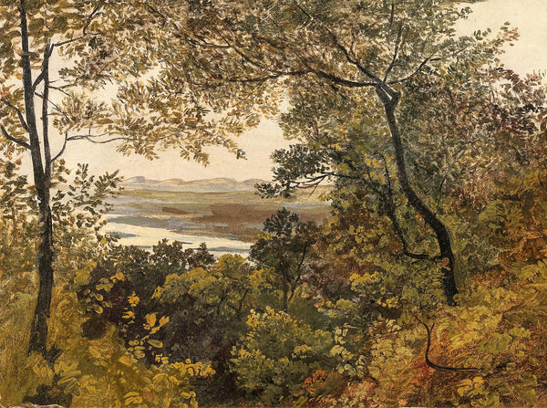Blick auf die unregulierte Donau vom Bisamberg aus gesehen