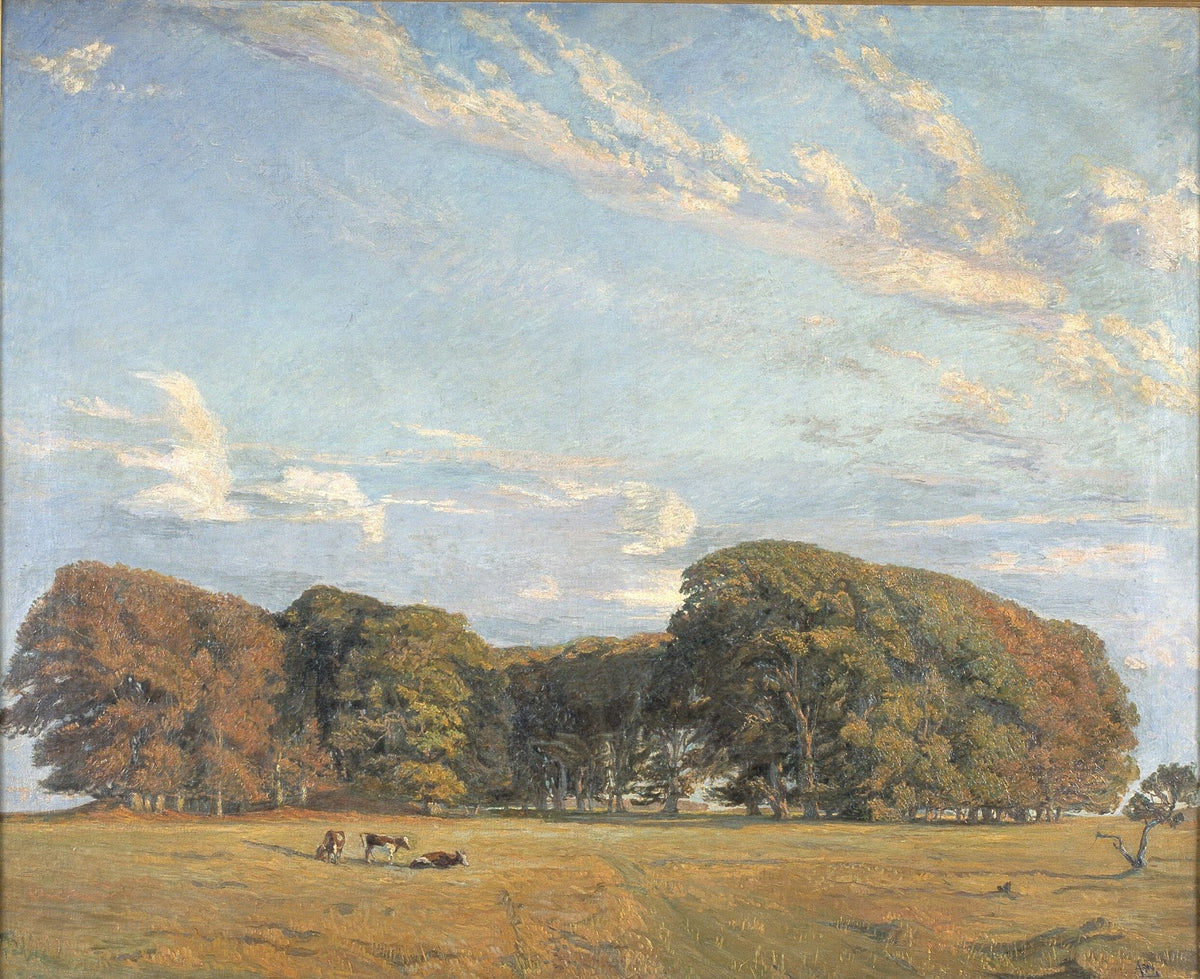 Eremitagesletten 1904