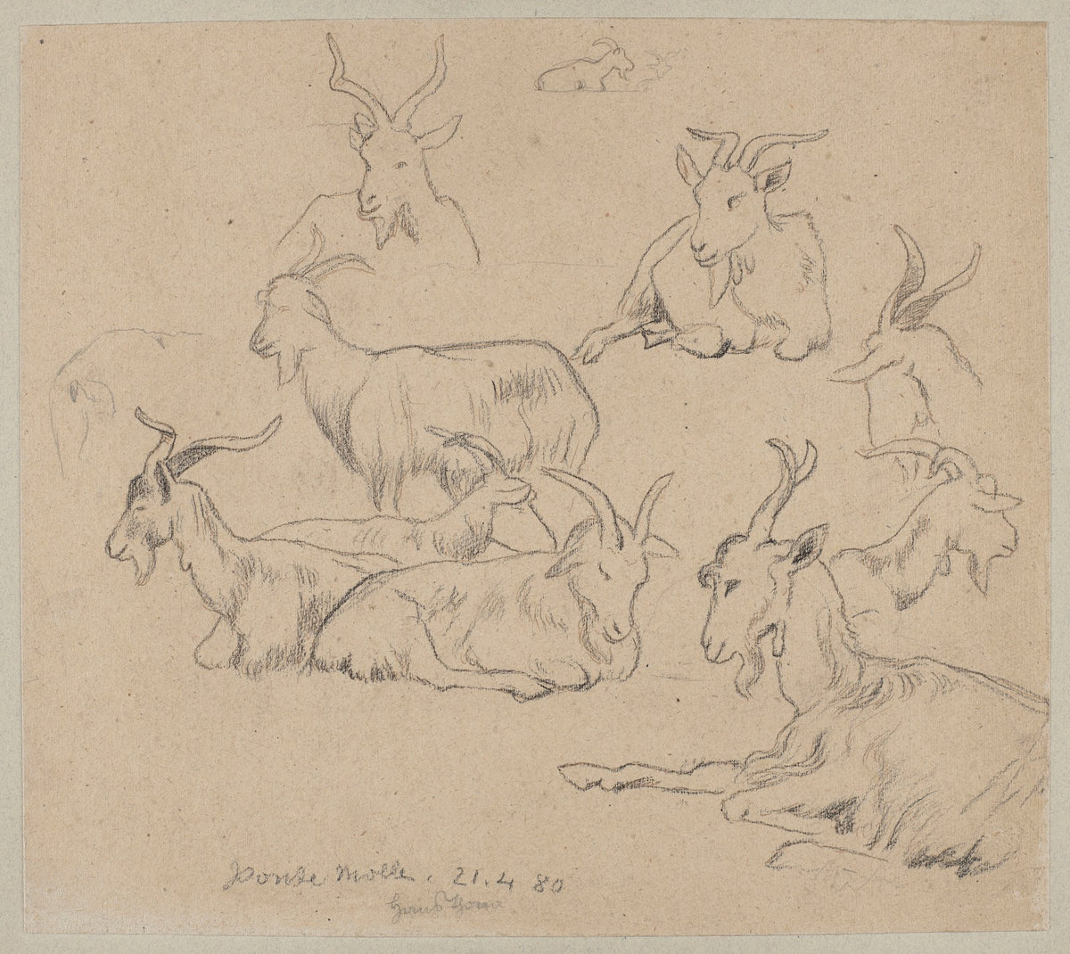 Studies of Goats 1880