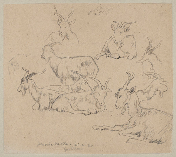 Studies of Goats 1880