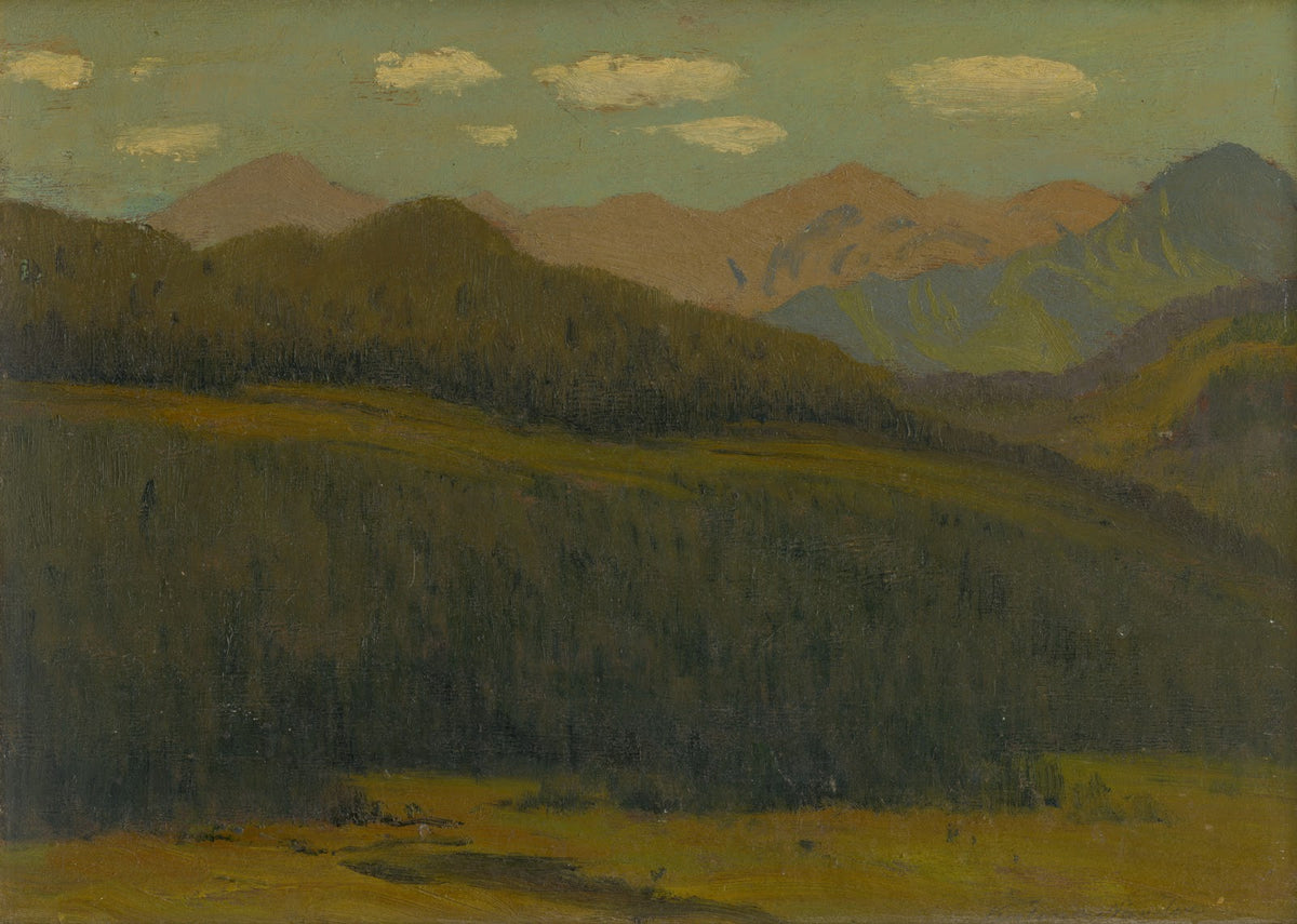 Landscape 18941925