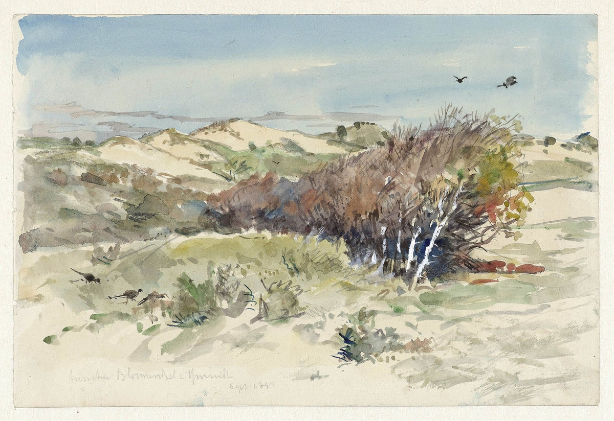 Duinlandschap tussen Bloemendaal en IJmuiden 1891