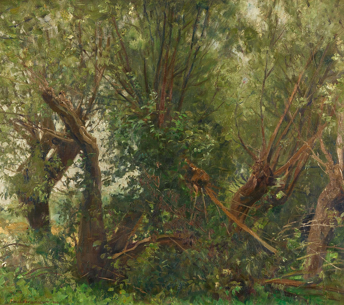 Weidenwäldchen 1905