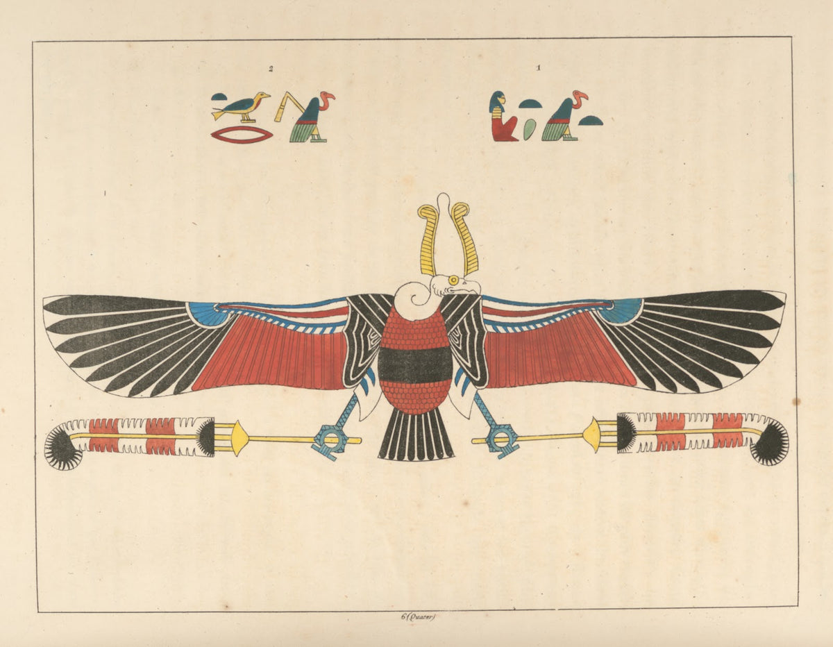 Le vautour emblème vivant de Néith 1823 1825