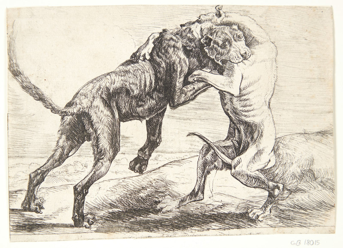 To hunde der kæmper 1654
