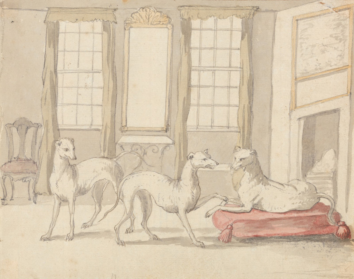 Three Greyhounds in a Room