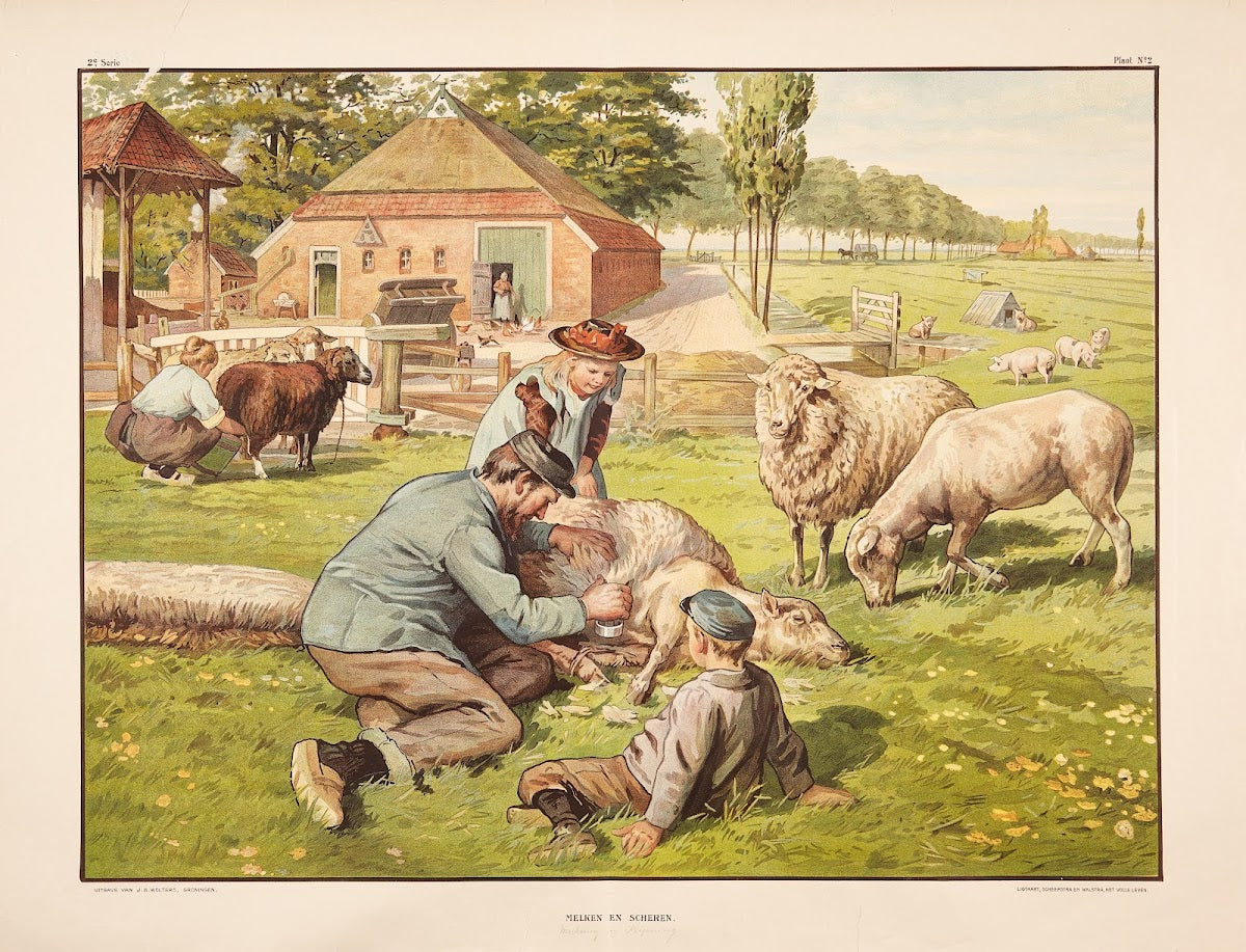 Melken en schren 1910