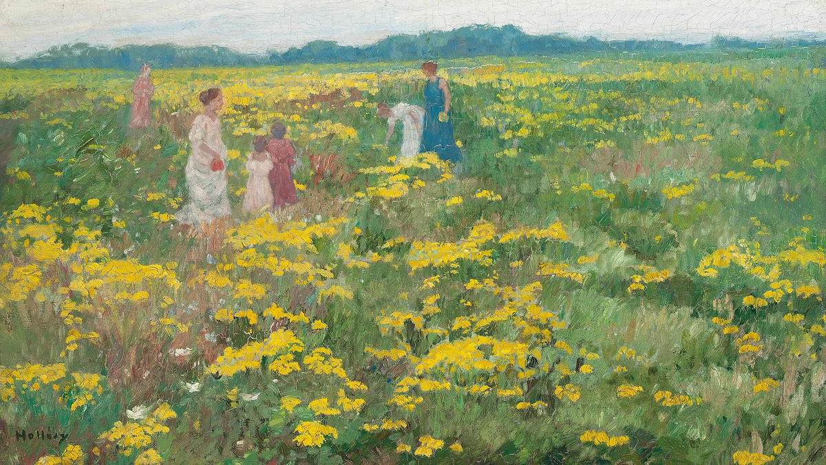 A Summer day