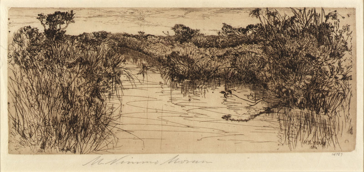 Meadowland 1884