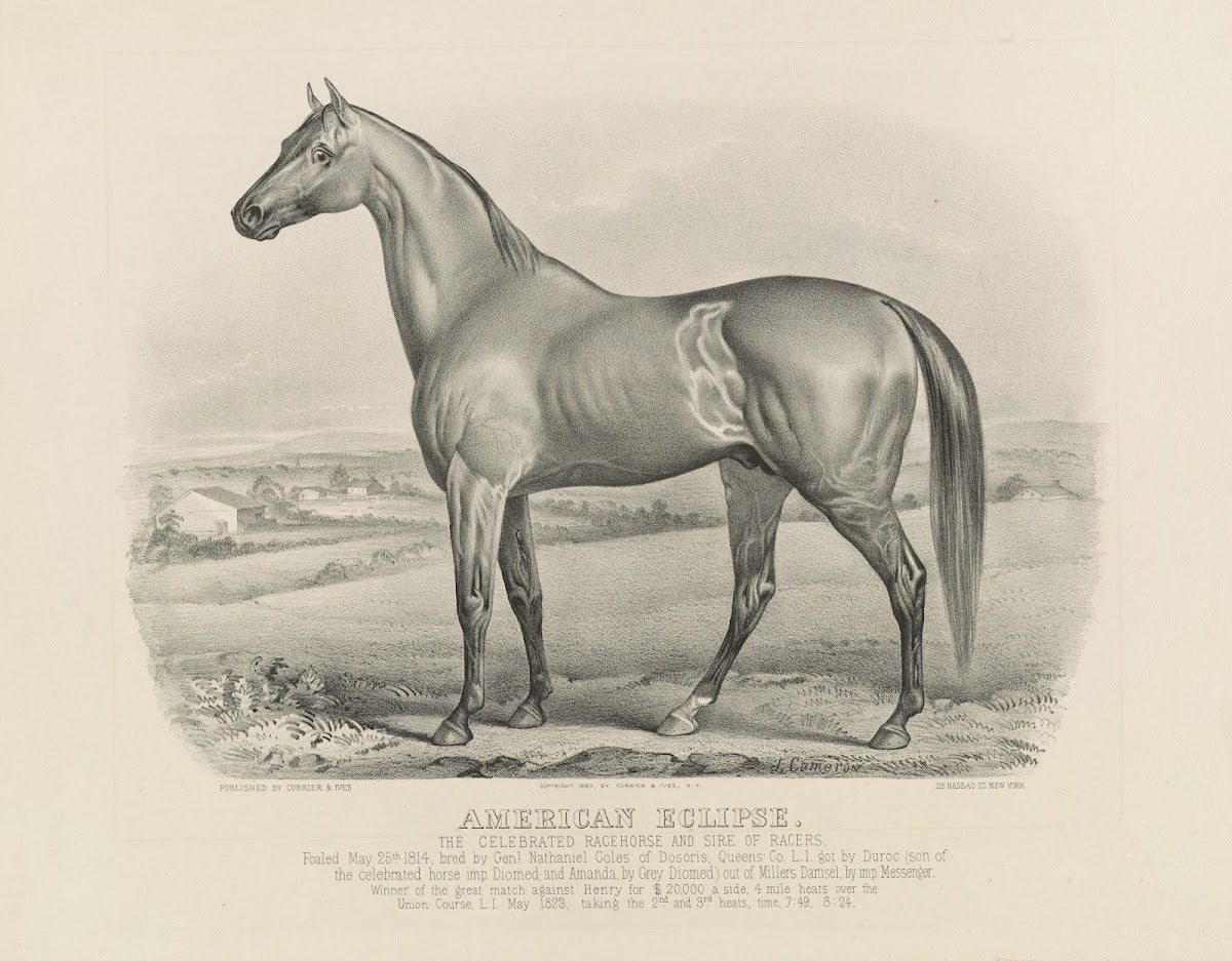 American eclipse The celebrated racehorse and sire of racers 1880