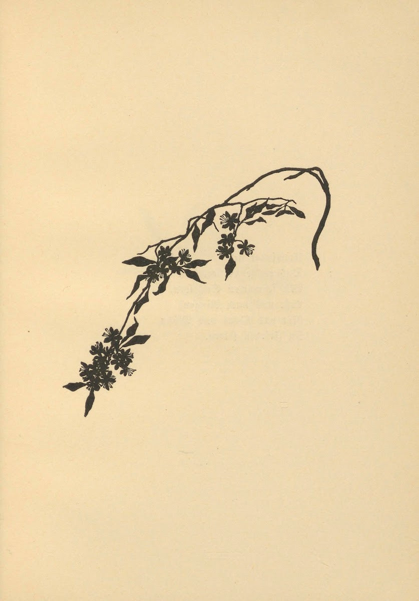 Wenn Frühlig wird Pl55 1924
