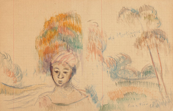 La Martinique 1887
