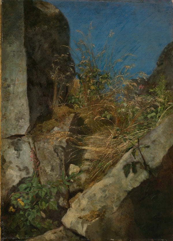 Gräser zwischen Felsen 1863