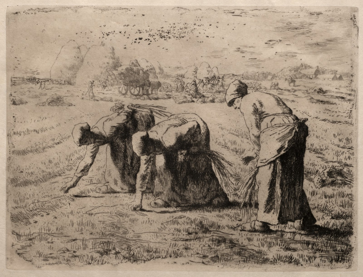 The Gleaners c 185556