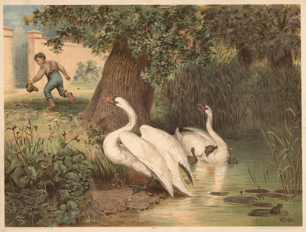 Swans 1880