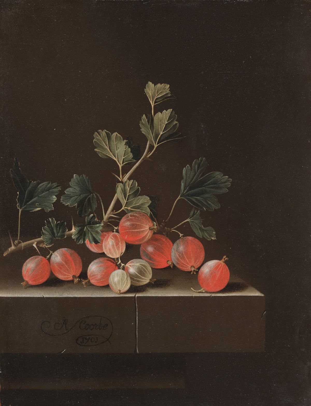 Gooseberries on a Table 1701