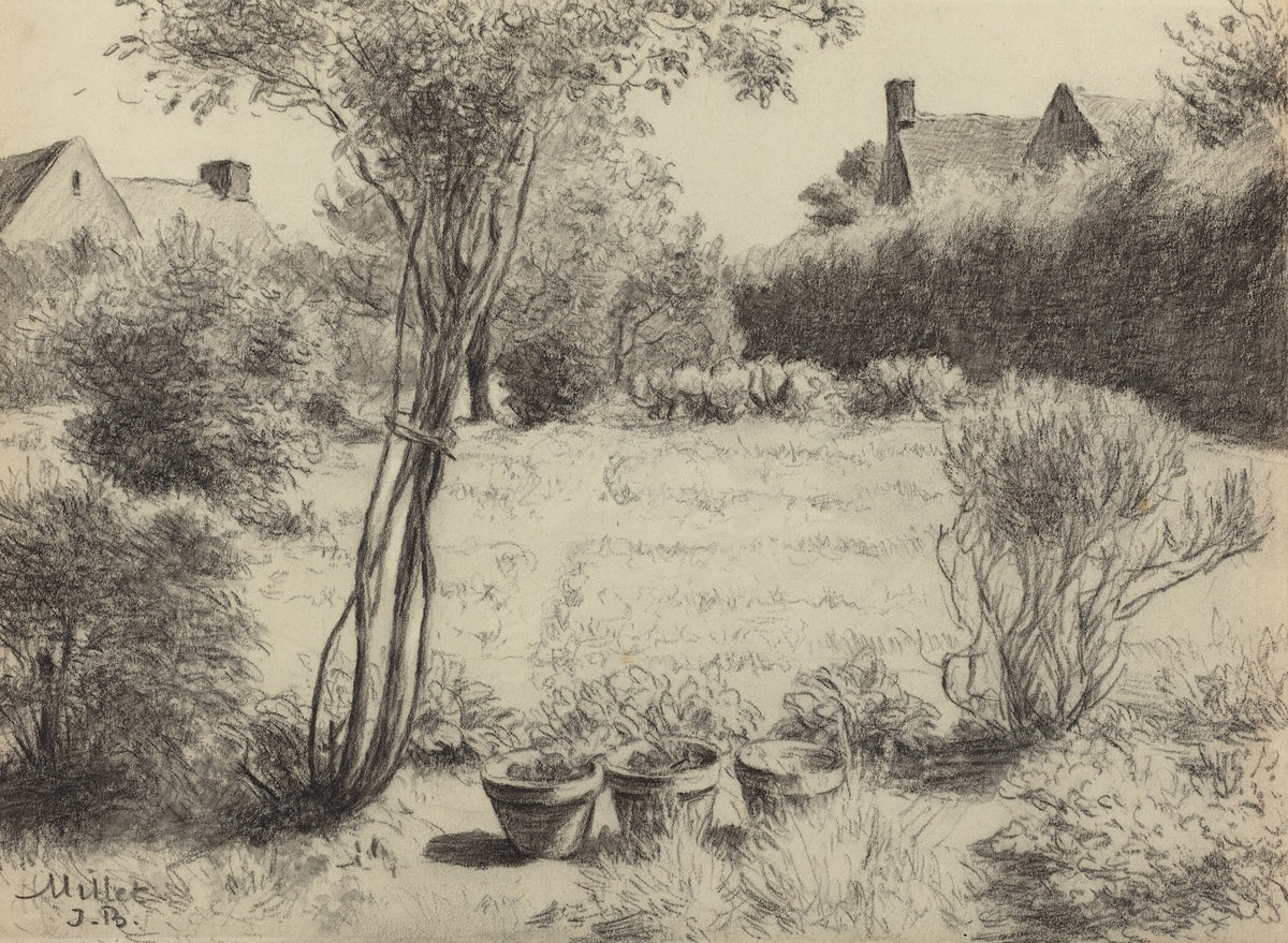 Sunlit Garden
