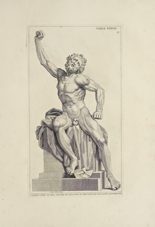 Anatomy improvd and illustrated with regard to the uses thereof in designing Pl2