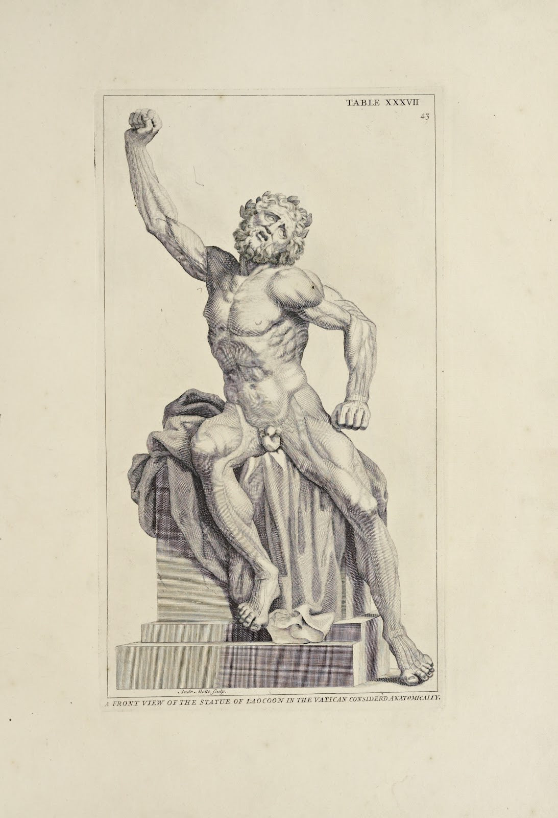 Anatomy improvd and illustrated with regard to the uses thereof in designing Pl2