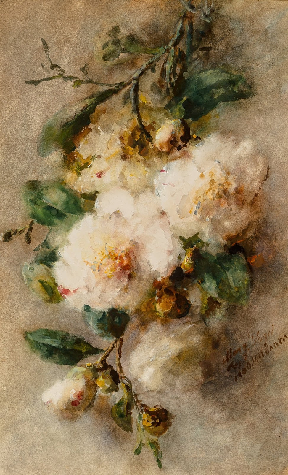 A spray of camellias hanging from a nail circa 1892 96